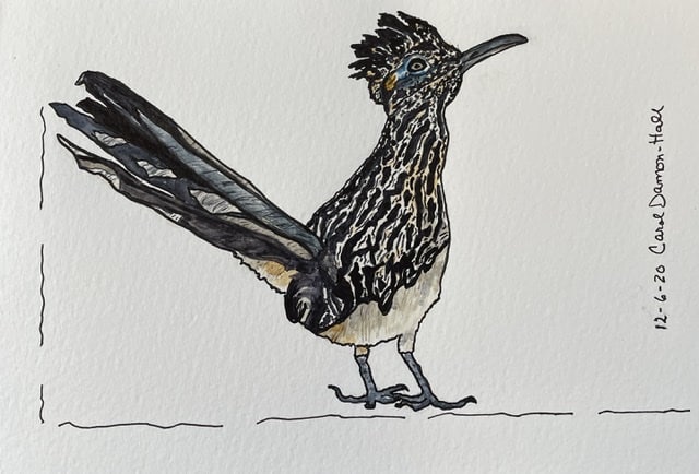 You are currently viewing Roadrunner Watercolor