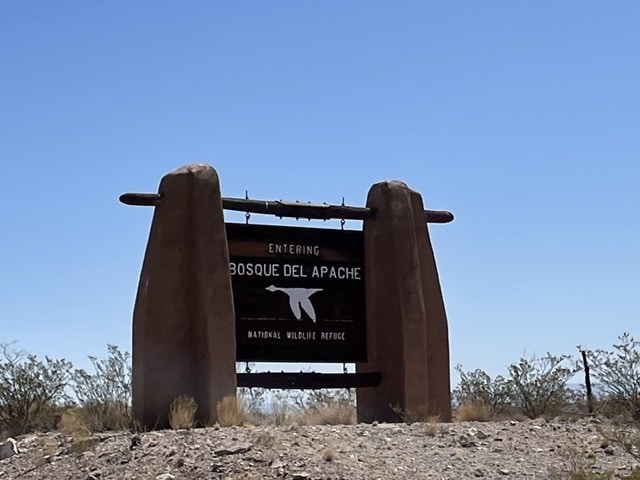 Read more about the article Bosque del Apache National Wildlife Refuge