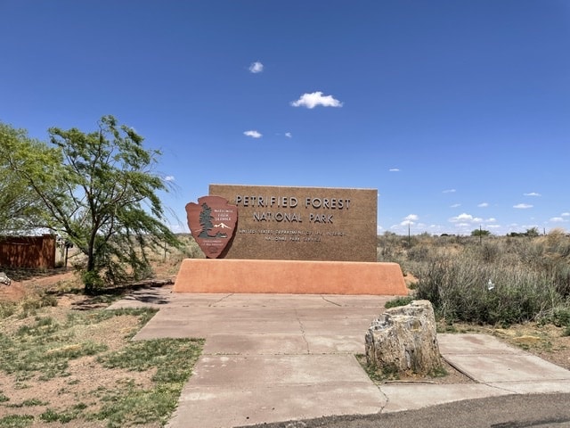 Read more about the article Petrified Forest National Park
