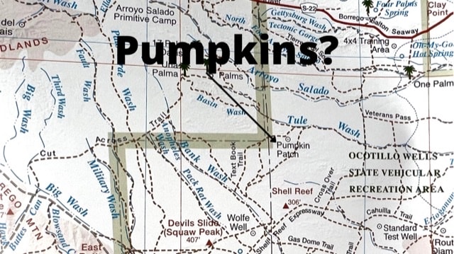 Read more about the article The Borrego Springs Pumpkin Patch!