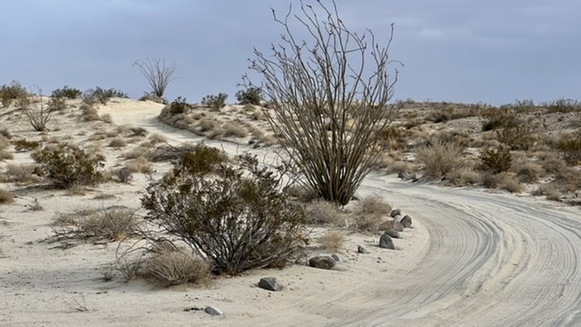 Read more about the article Fonts Point, Anza Borrego Badlands