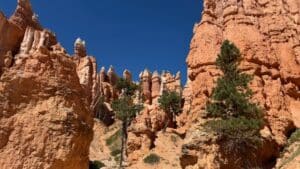 Read more about the article Exploring Bryce Canyon’s most popular hike, Queens Garden/Navajo Loop!