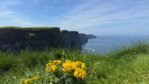 Read more about the article Driving Ireland’s Wild Atlantic Way | Cliffs of Moher to Gap of Dunloe!